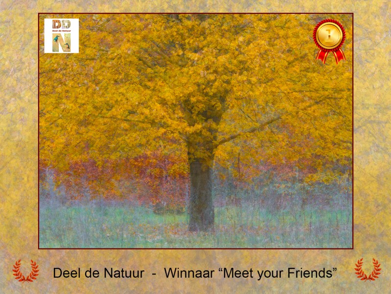 Winnaar "Meet your friends"