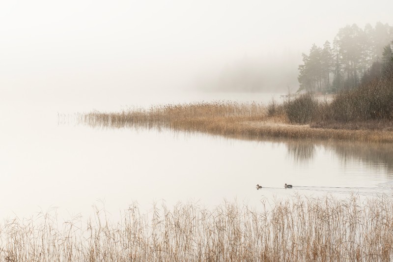 Herfst aan het meer