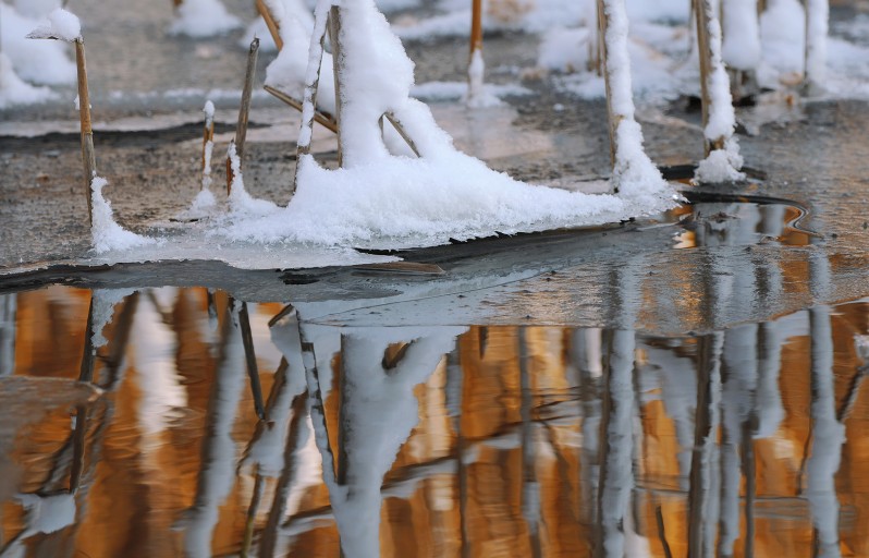 gold and silver pond