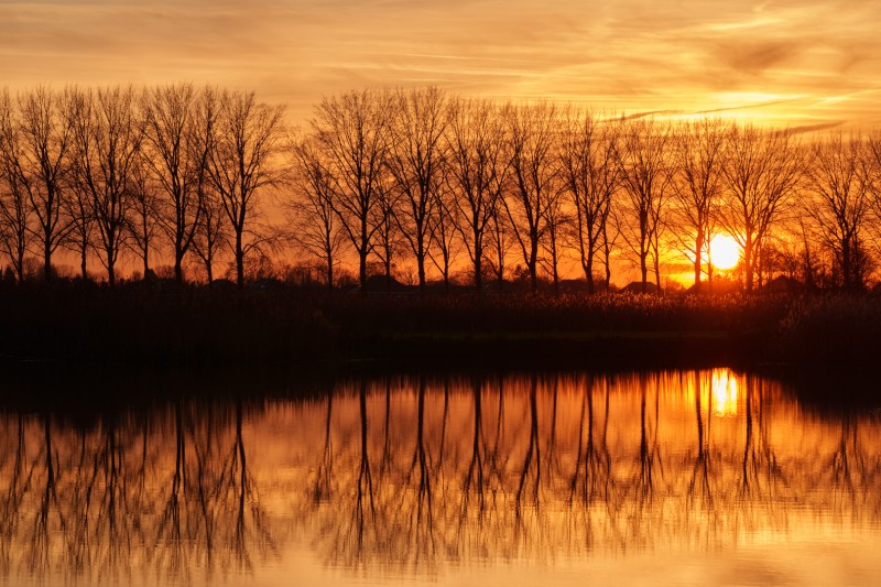 Gouden uur bij Waterrijk West