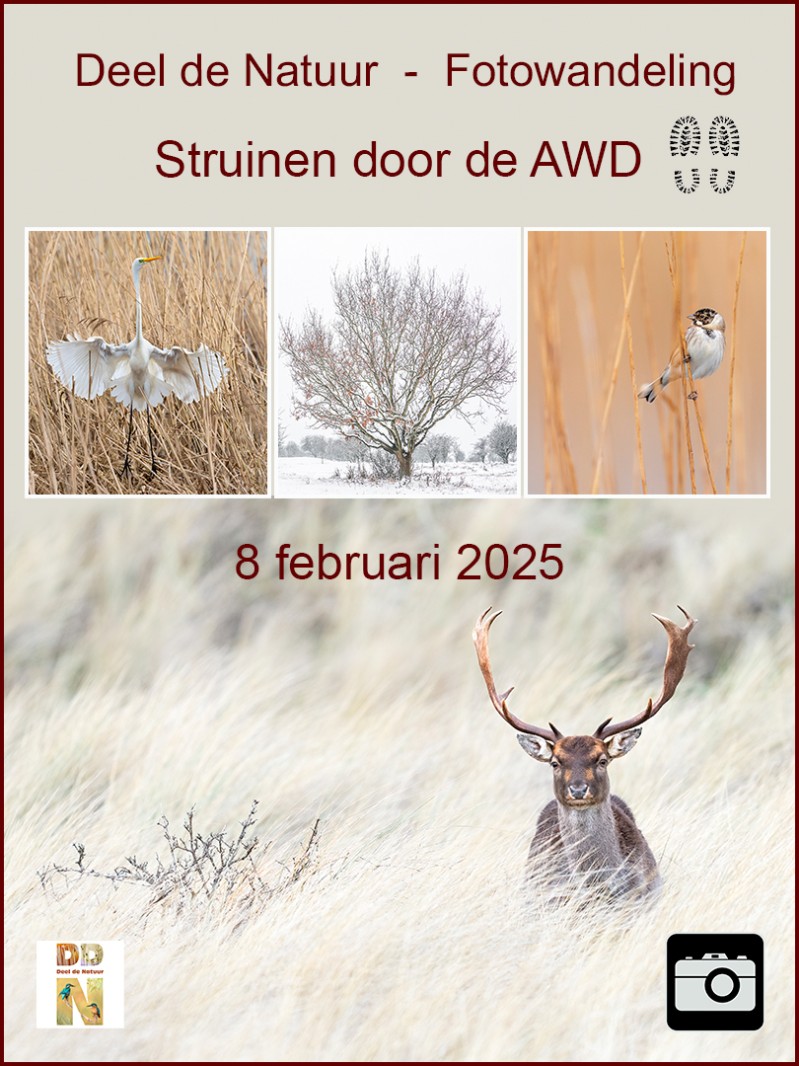 Fotowandeling 'Struinen door de AWD'