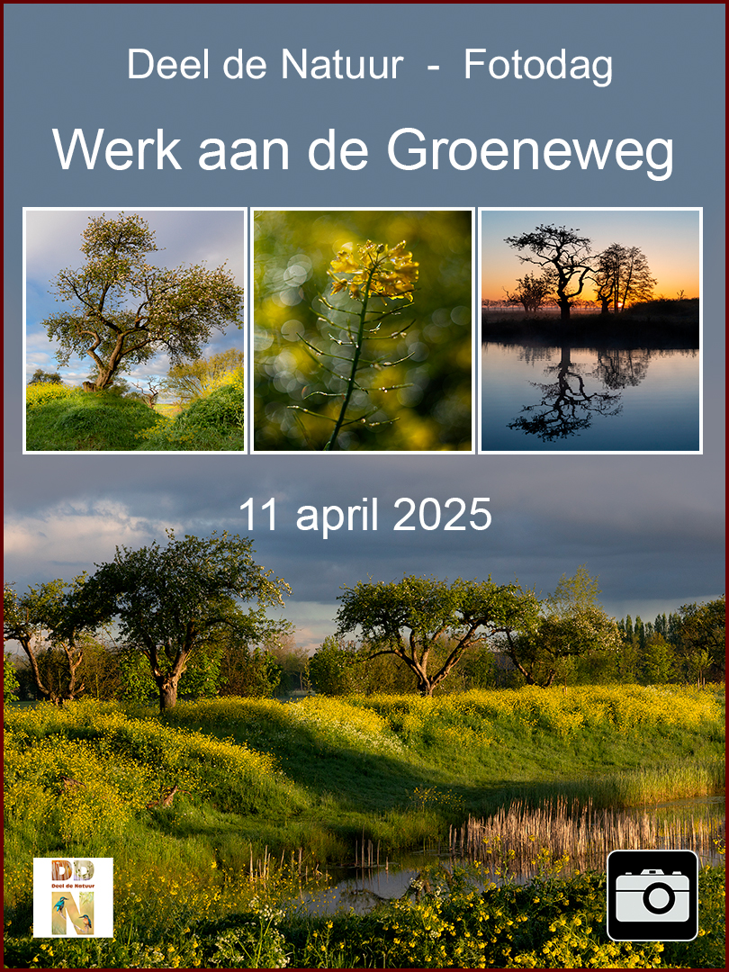 DDN Spotlight Fotodag Werk aan de Groeneweg 2025 v2 