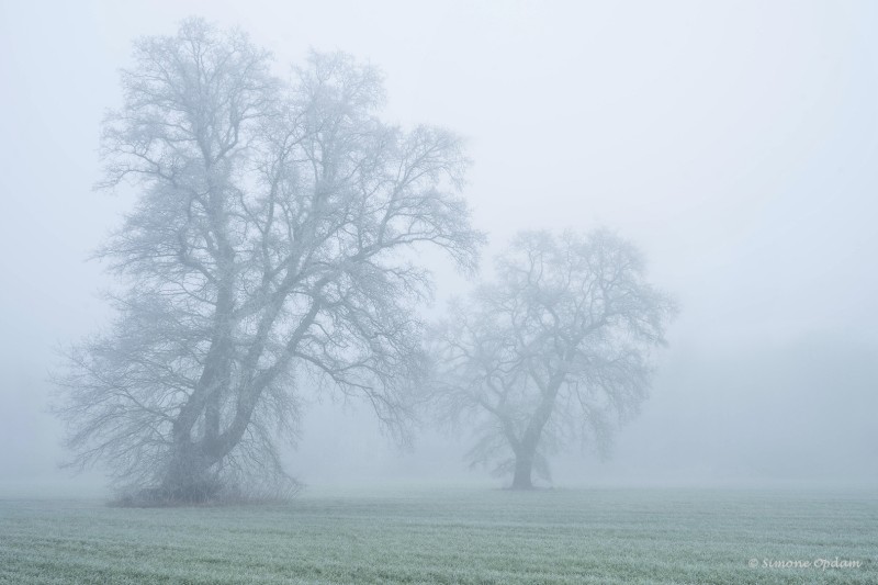 Samen in de mist