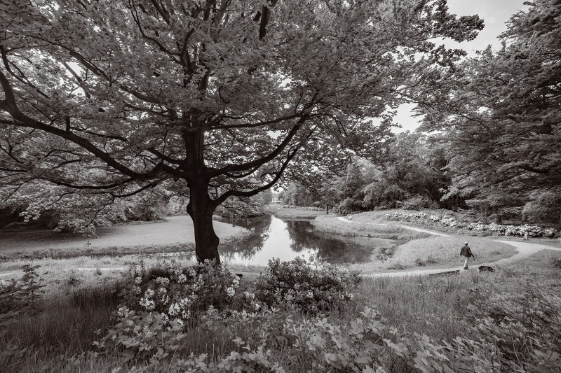 Wandelen op het landgoed