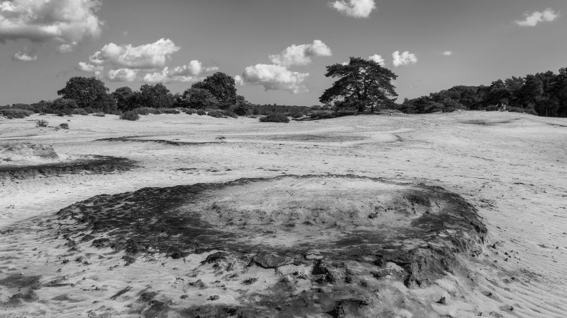 Zuiderheide