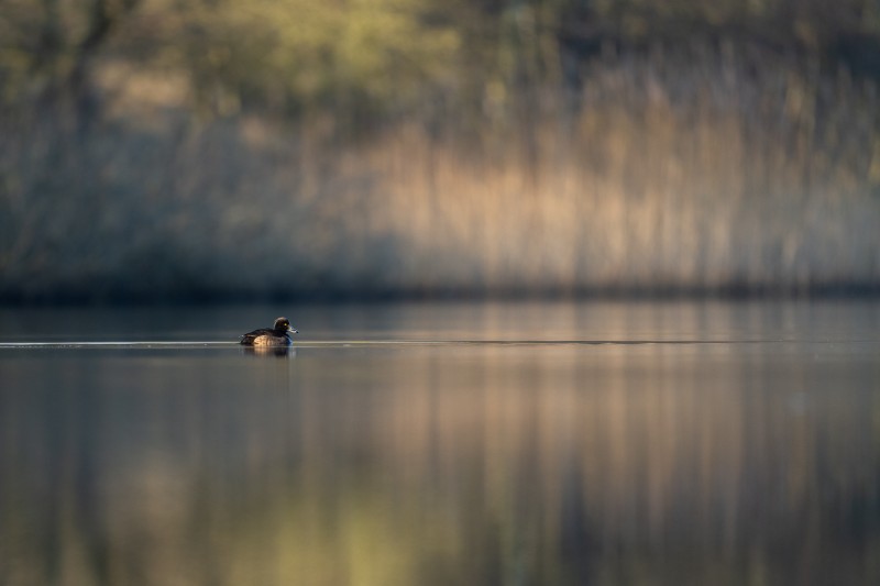 Klein in beeld