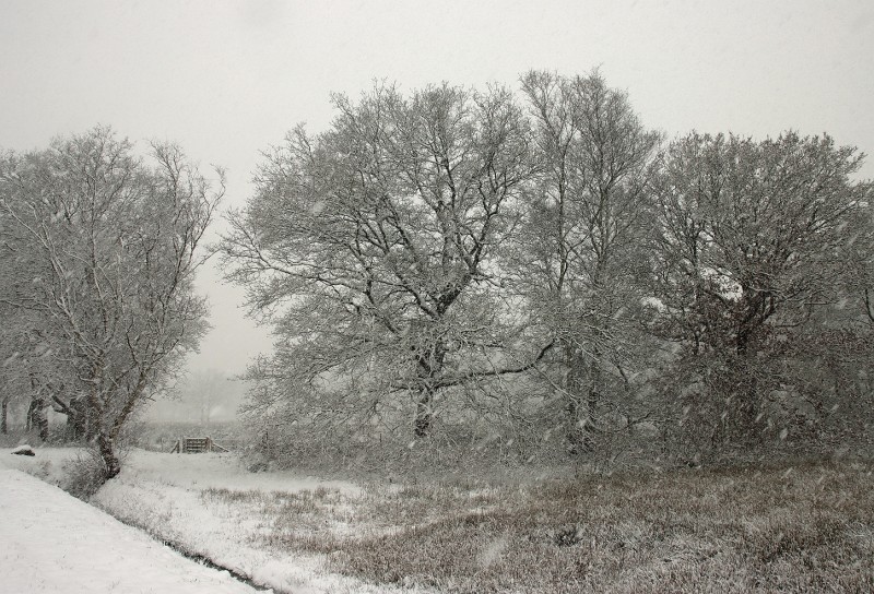 Eindelijk een vleugje winter