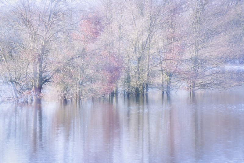 Fields full of water