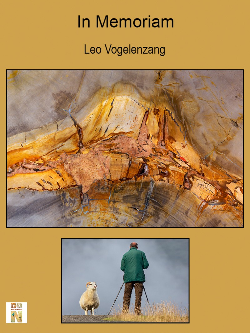 In Memoriam Leo Vogelenzang