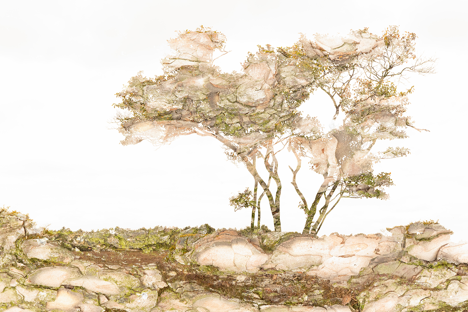 IMG_0849 corr 1080 PX sRGB