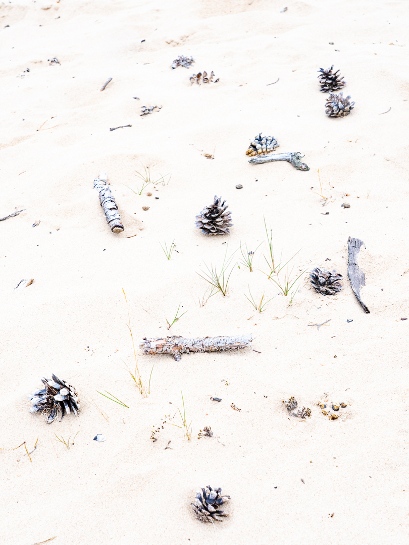 Loes Belovics - deel de natuur