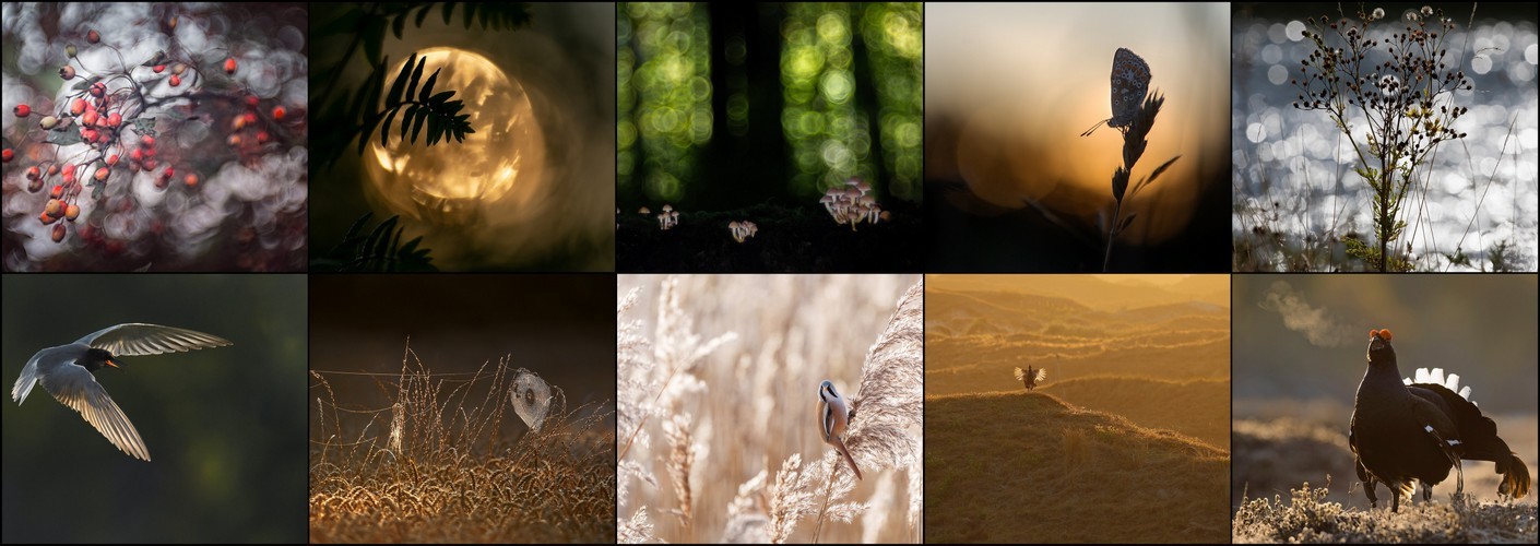 Thema van de maand september "Tegenlicht"