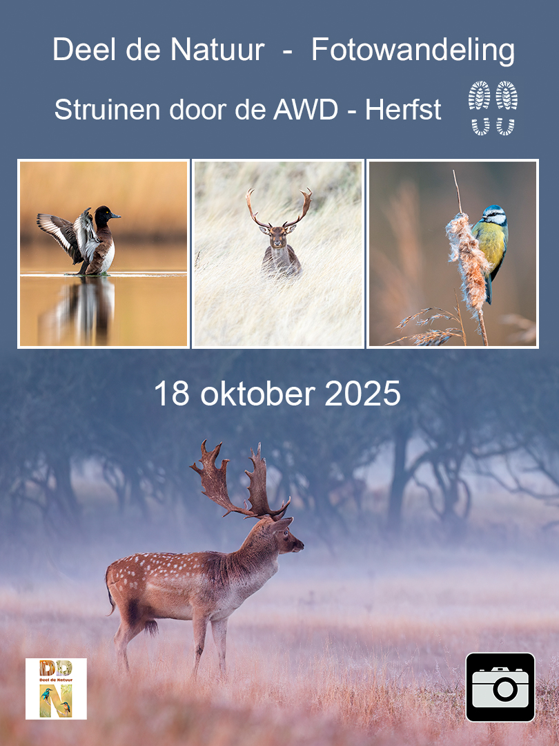 DDN Spotlight Fotowandeling - Struinen door de AWD Herfst 2025 