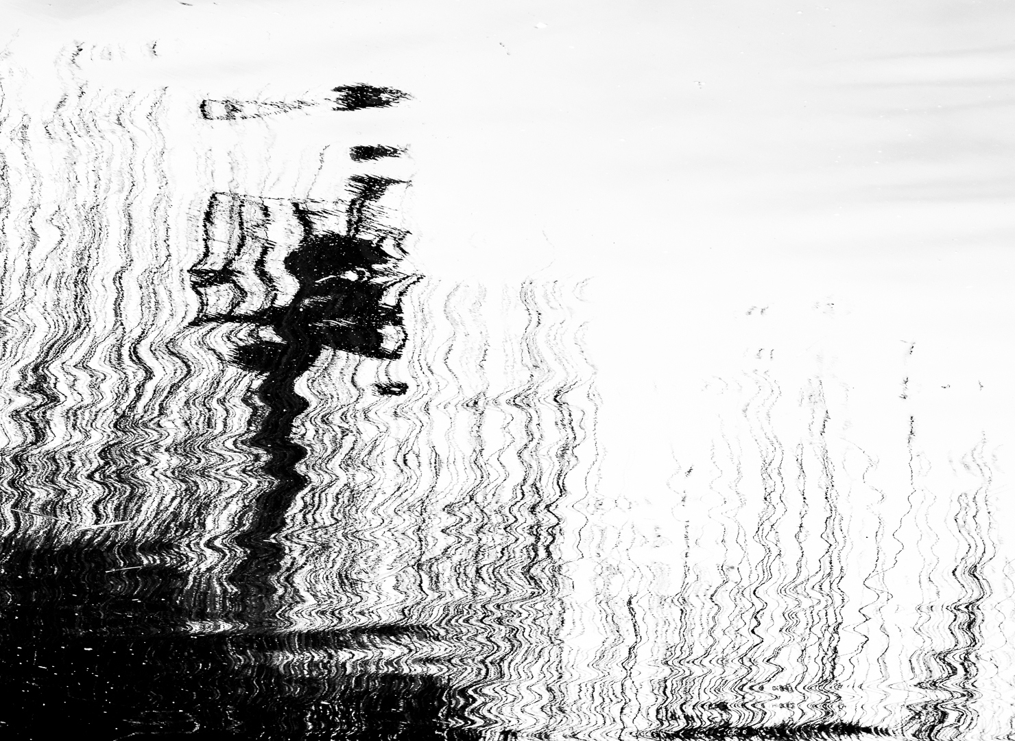 reflecties - Deel de Natuur - Loes Belovics