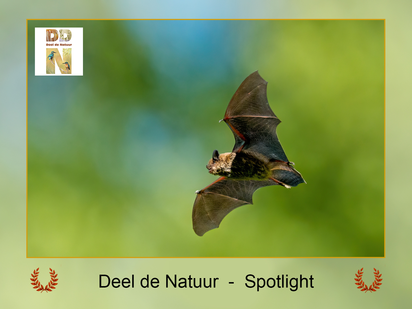 DDN Spotlight 21-08-2025