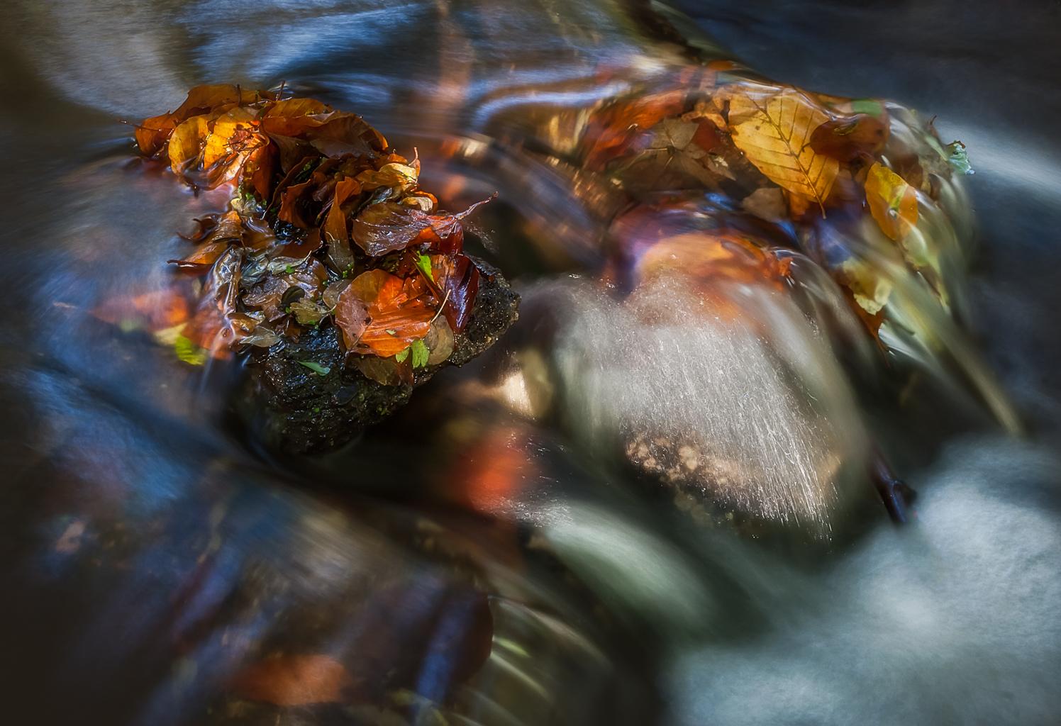 1010_Clubtocht_9548-3