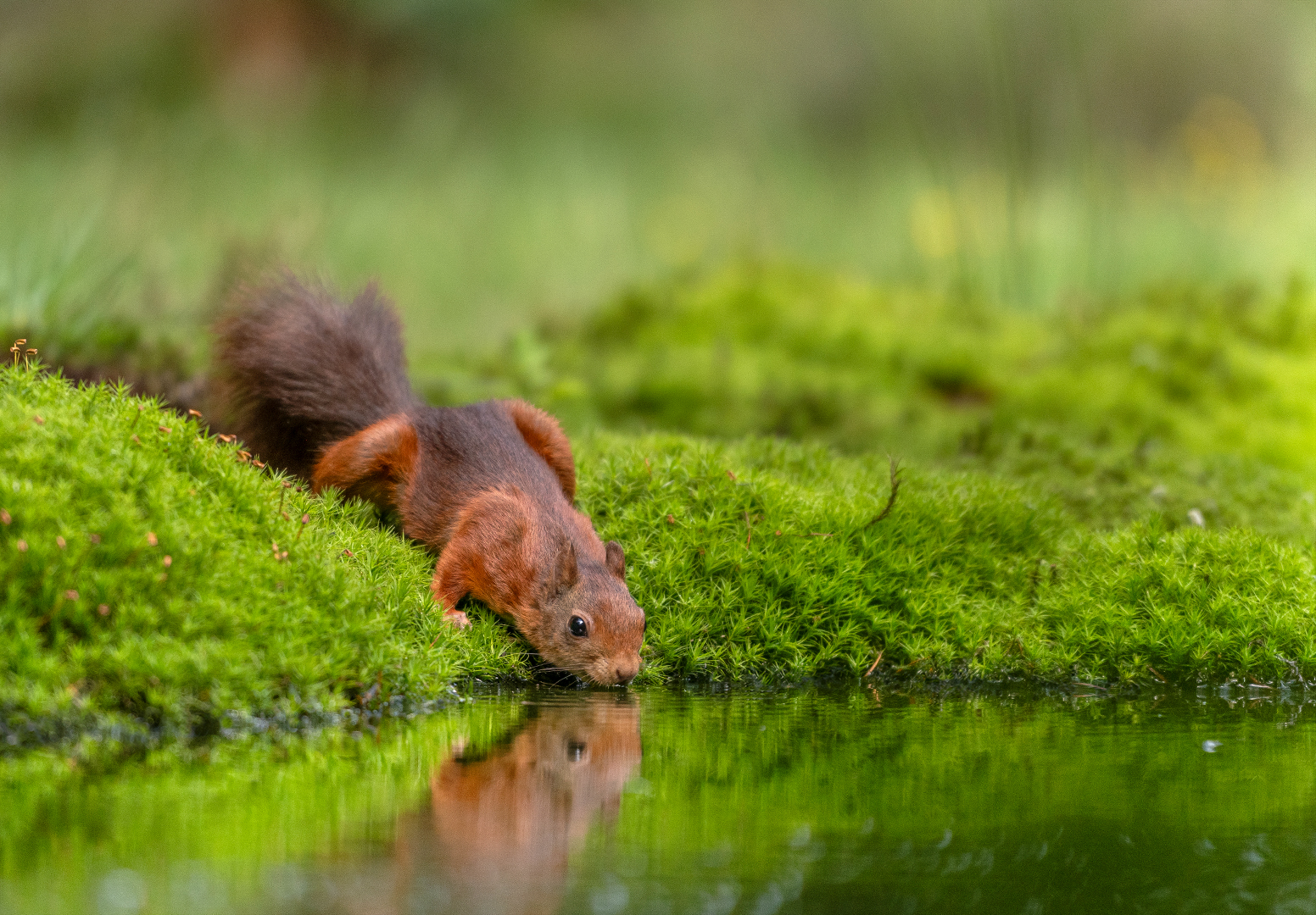 DSC_0780 zonder signatuur