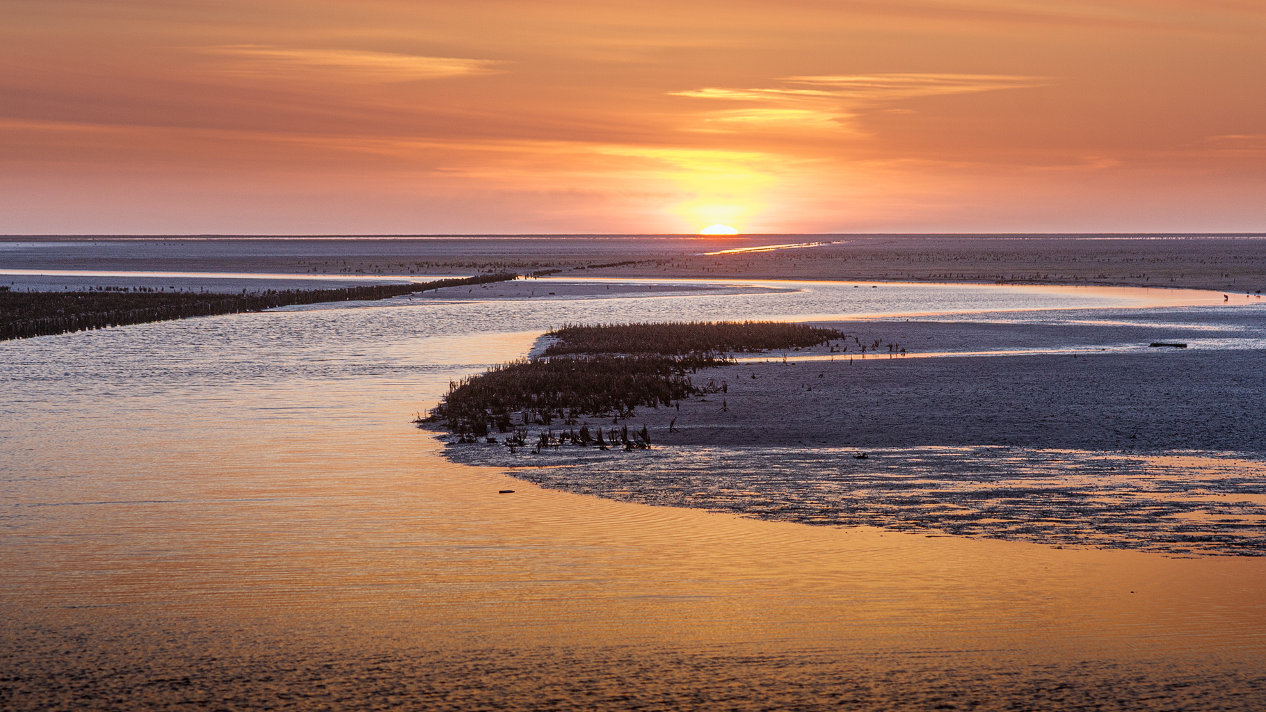 1004_Lauwersmeer_0490