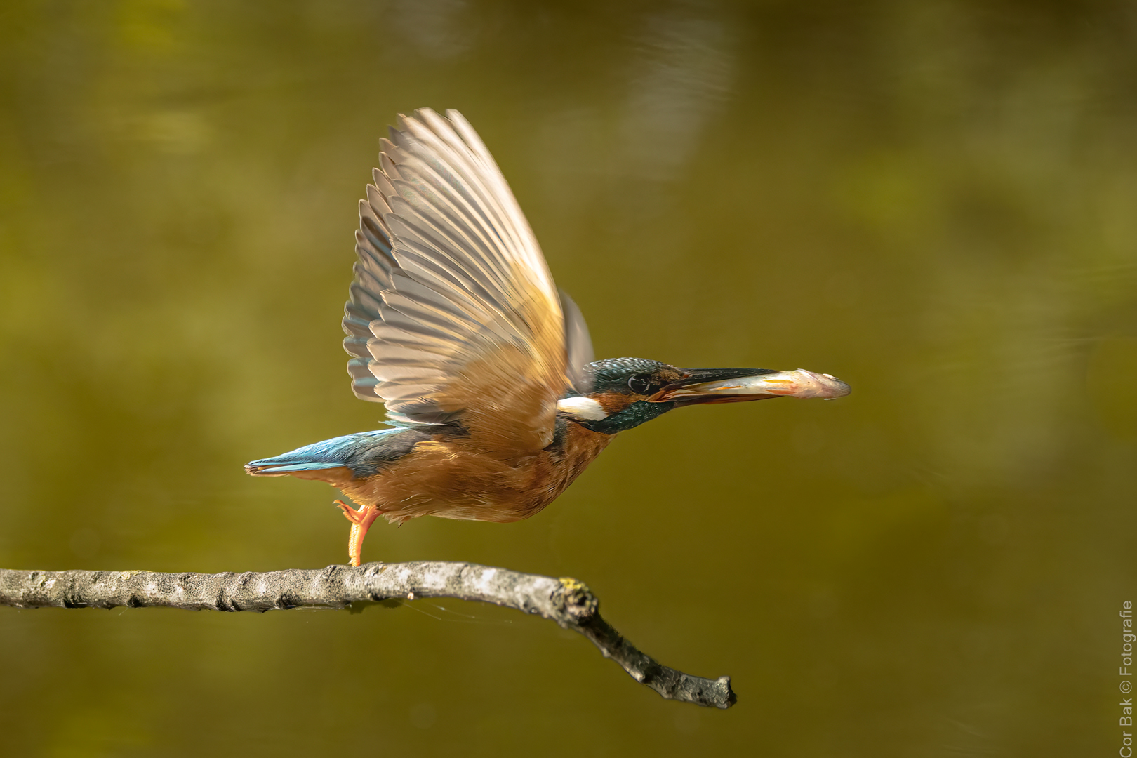 20250825-IMG_0827-bewerkt