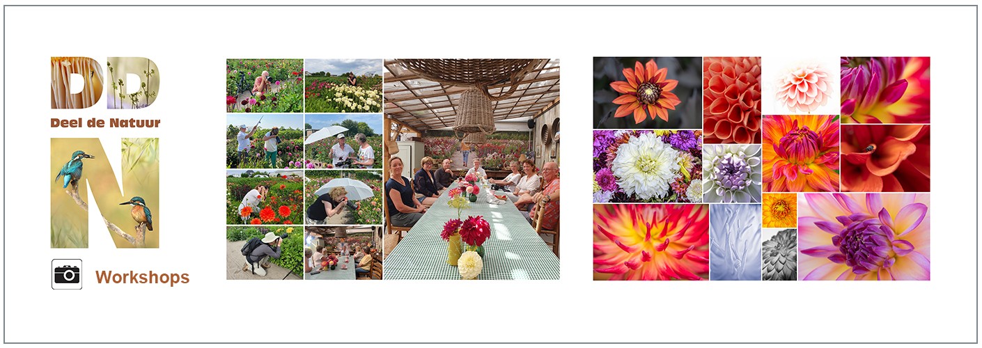 Verslag Workshops Dazzling Dahlias