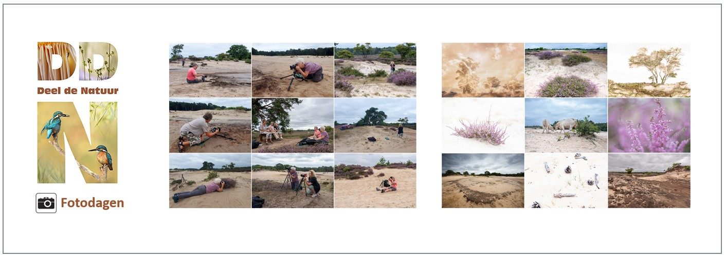Verslag Fotodag Zuiderheide