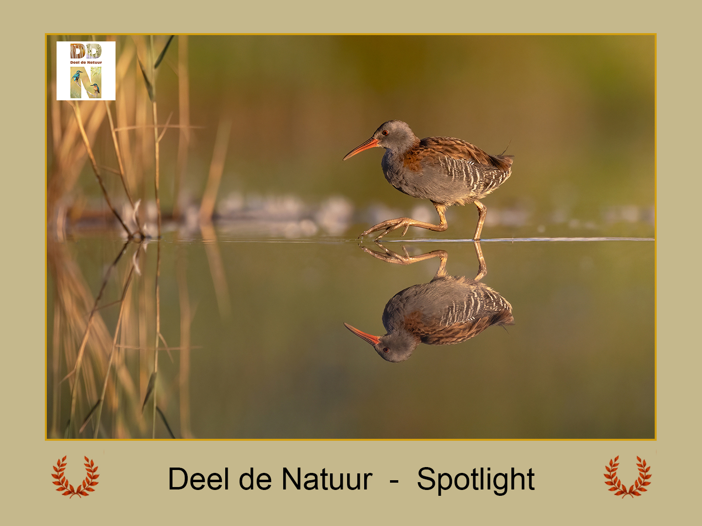 DDN Spotlight 29-08-2025