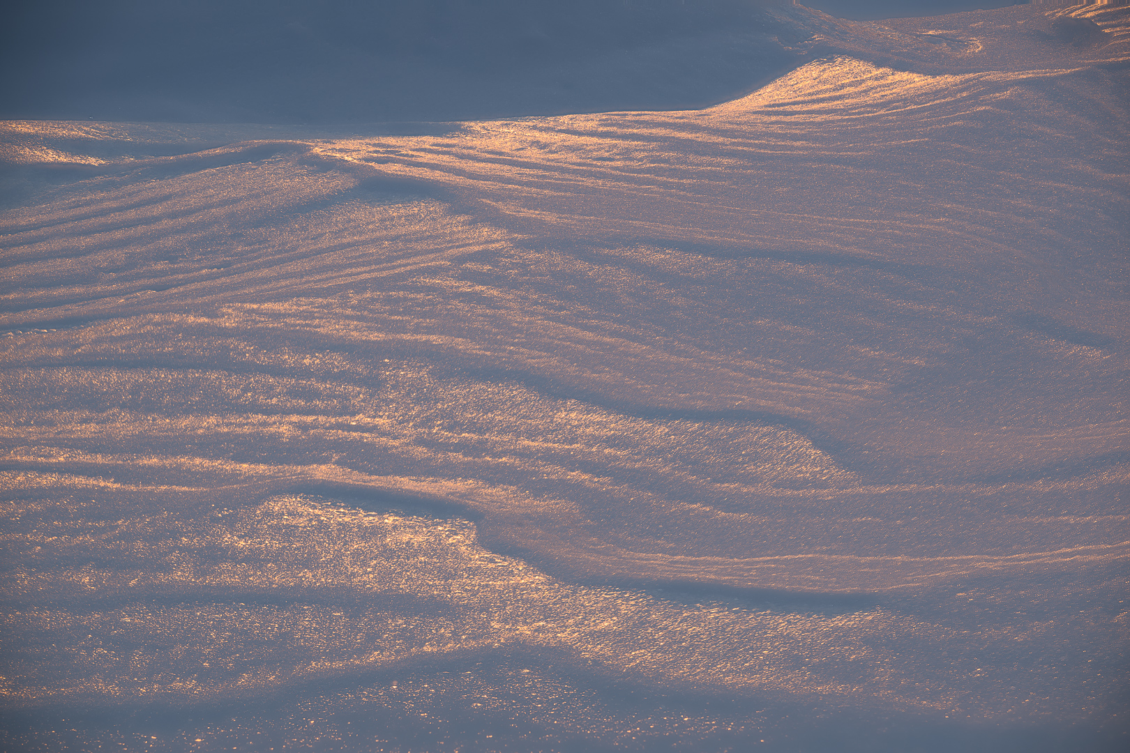 2025-03-07 22-00-44 (A,Radius2,Smoothing6)