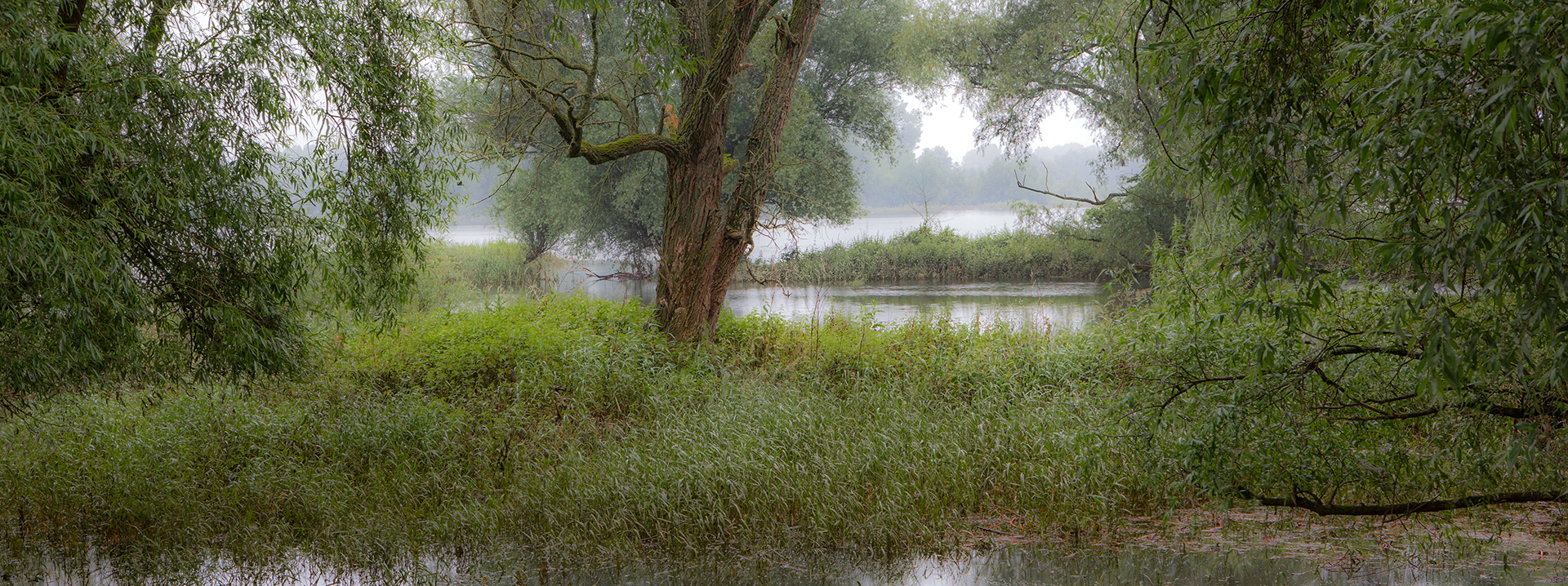9921 Millingerwaard 2024-06-01 Bw 1920