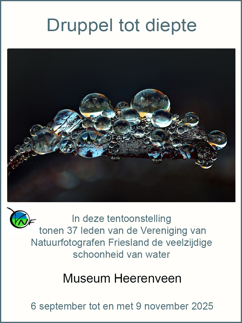 VNF Friesland Spotlight - Van druppel tot diepte copy