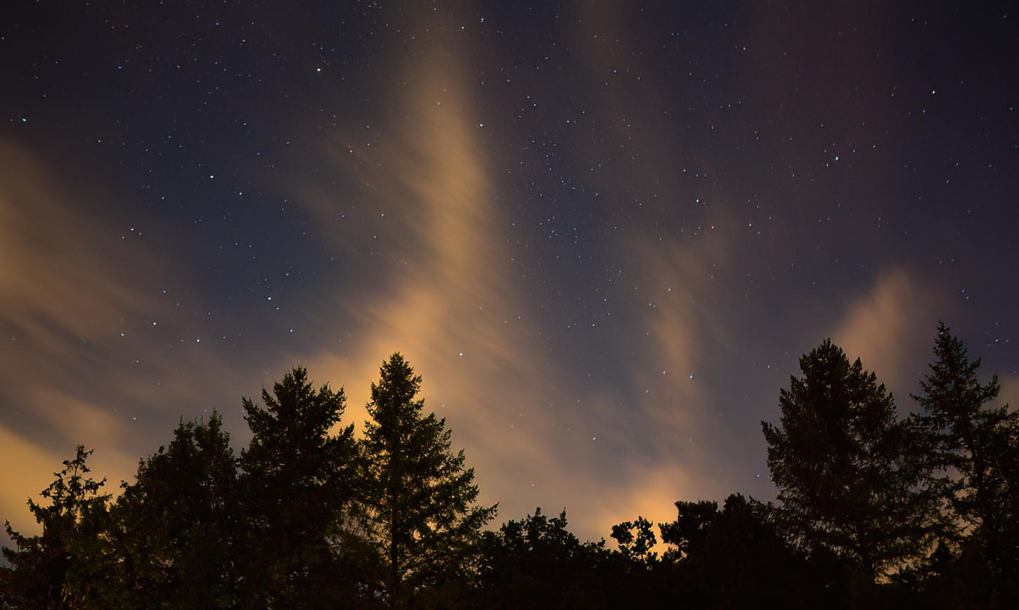 0606-1Middennacht 2025-08-31 Bw low light 1450x