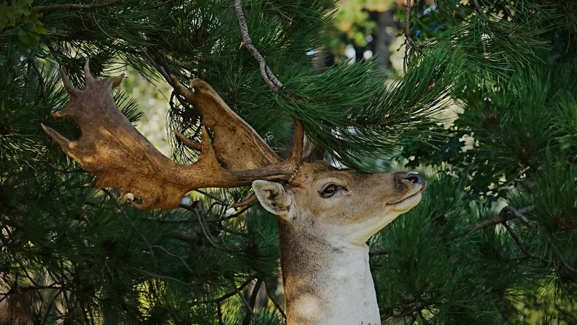 DSC04408 DDN ADW 05092025 3 JPG