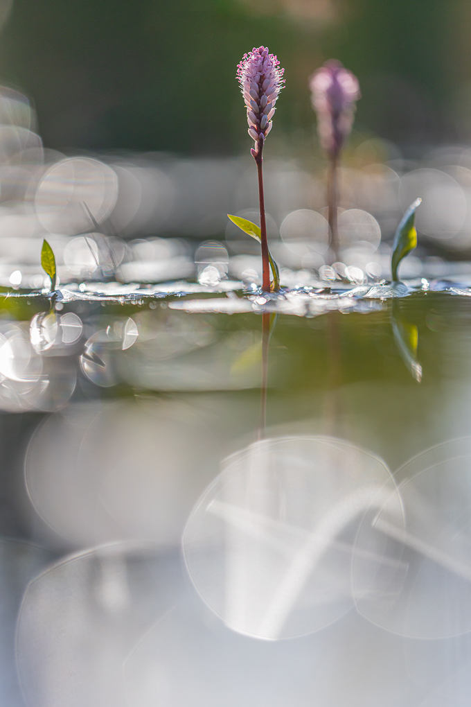 HvW_2024_07_28_ 4802-bewerkt