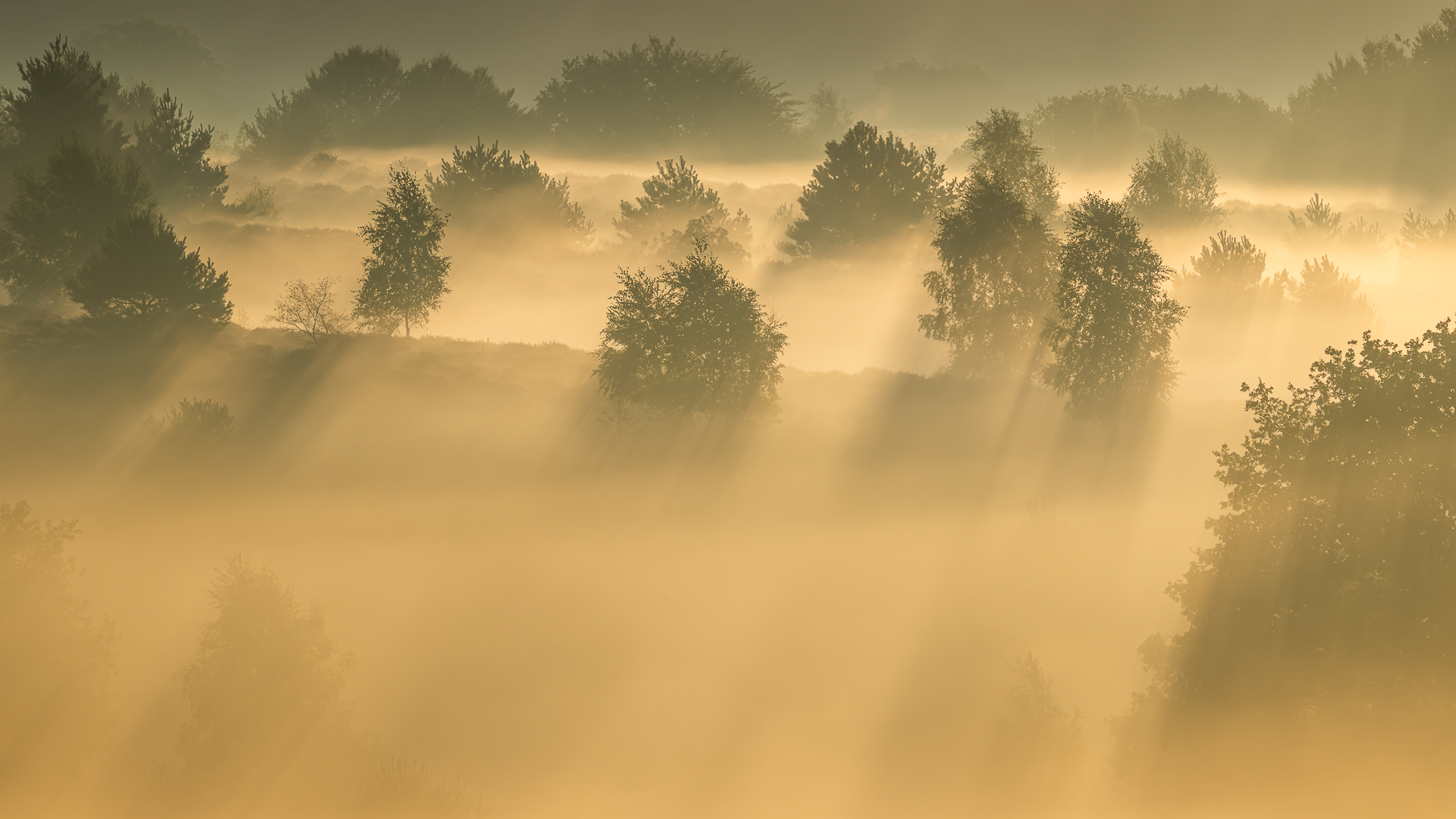 HvW_2025_09_06_ 0053