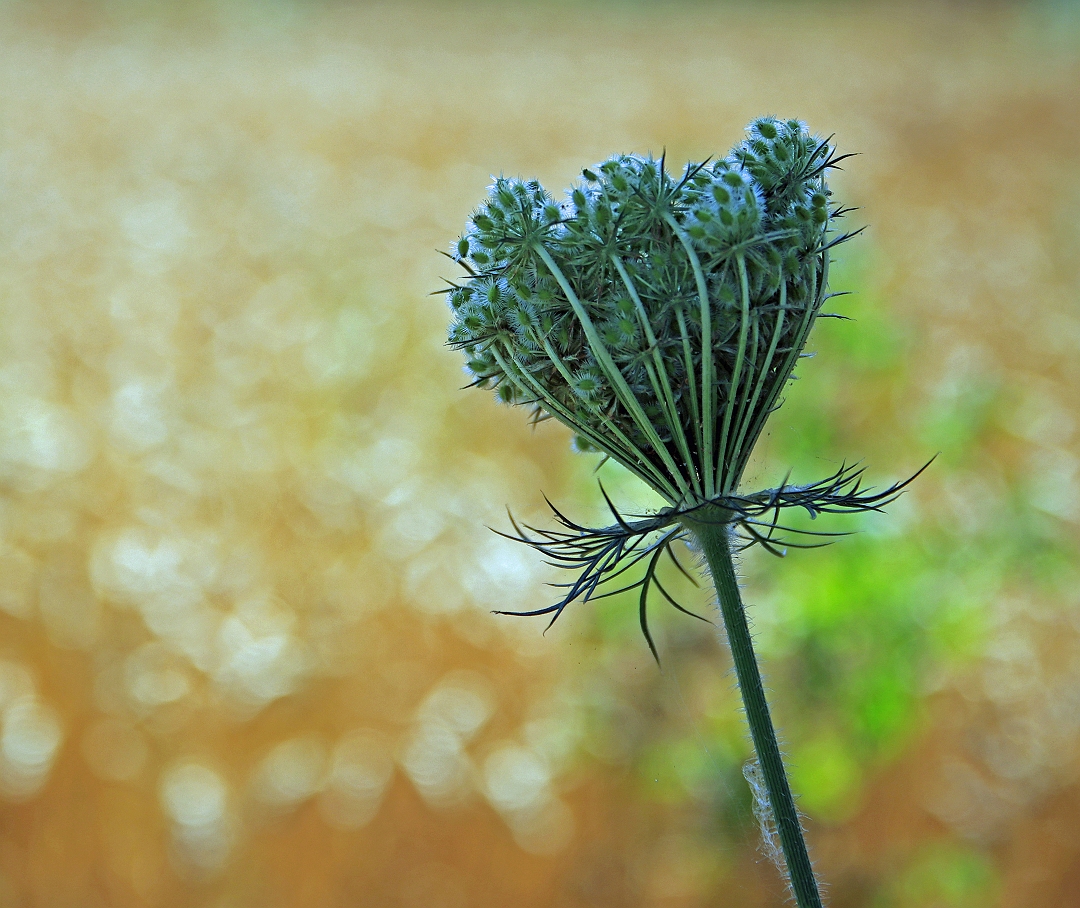 sized_IMG_4798 bewerkt-1_bewerkt-1