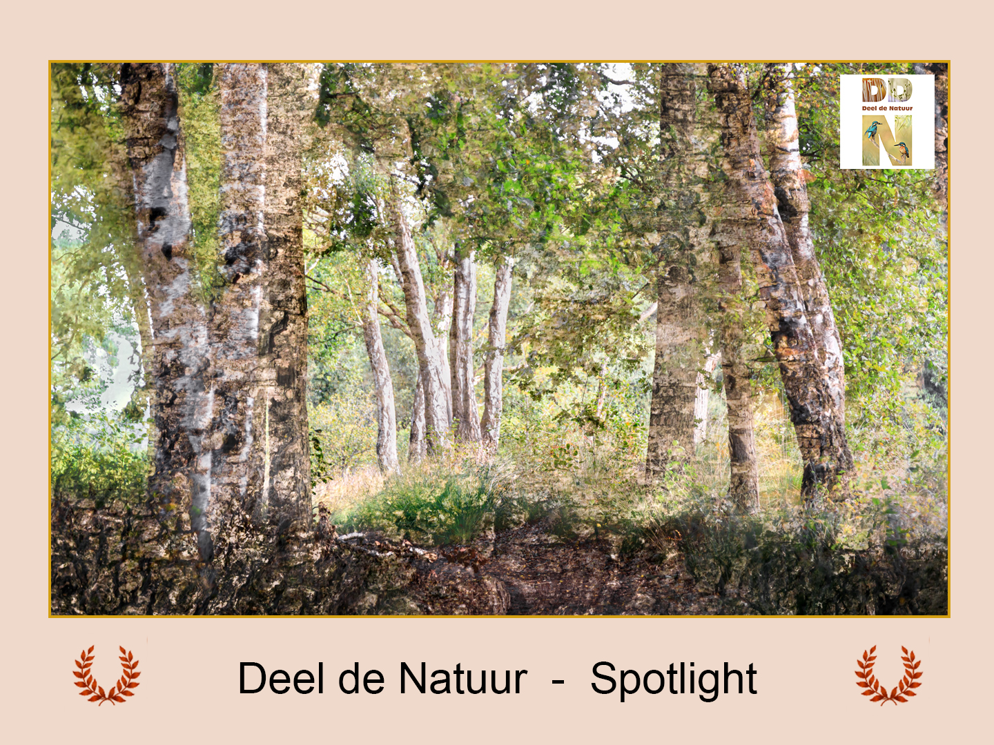 DDN Spotlight 11-09-2025