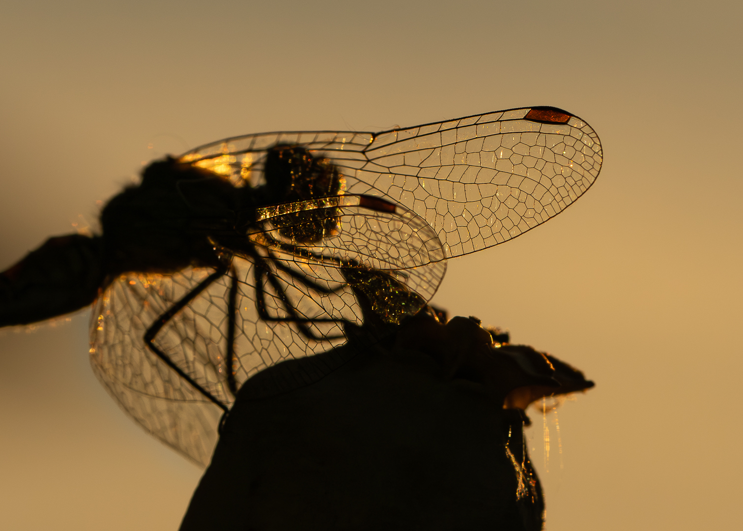 2025 tuin september bewerkt (14 van 1)