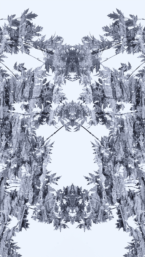 IMG_1086 corr 1080PX sRGB