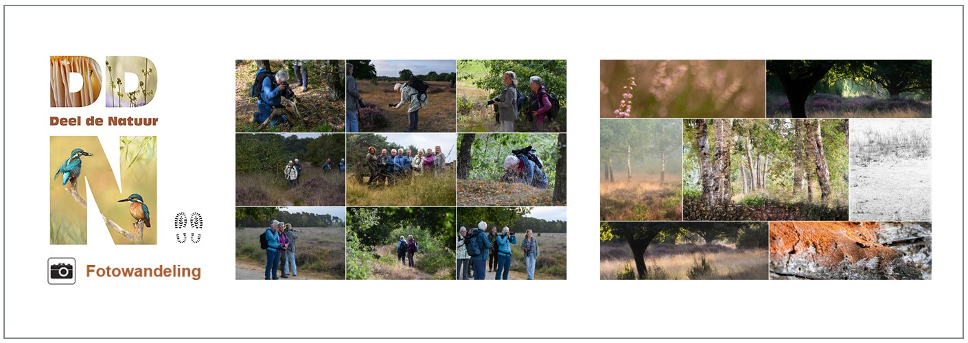 Verslag Fotowandeling Buurserzand