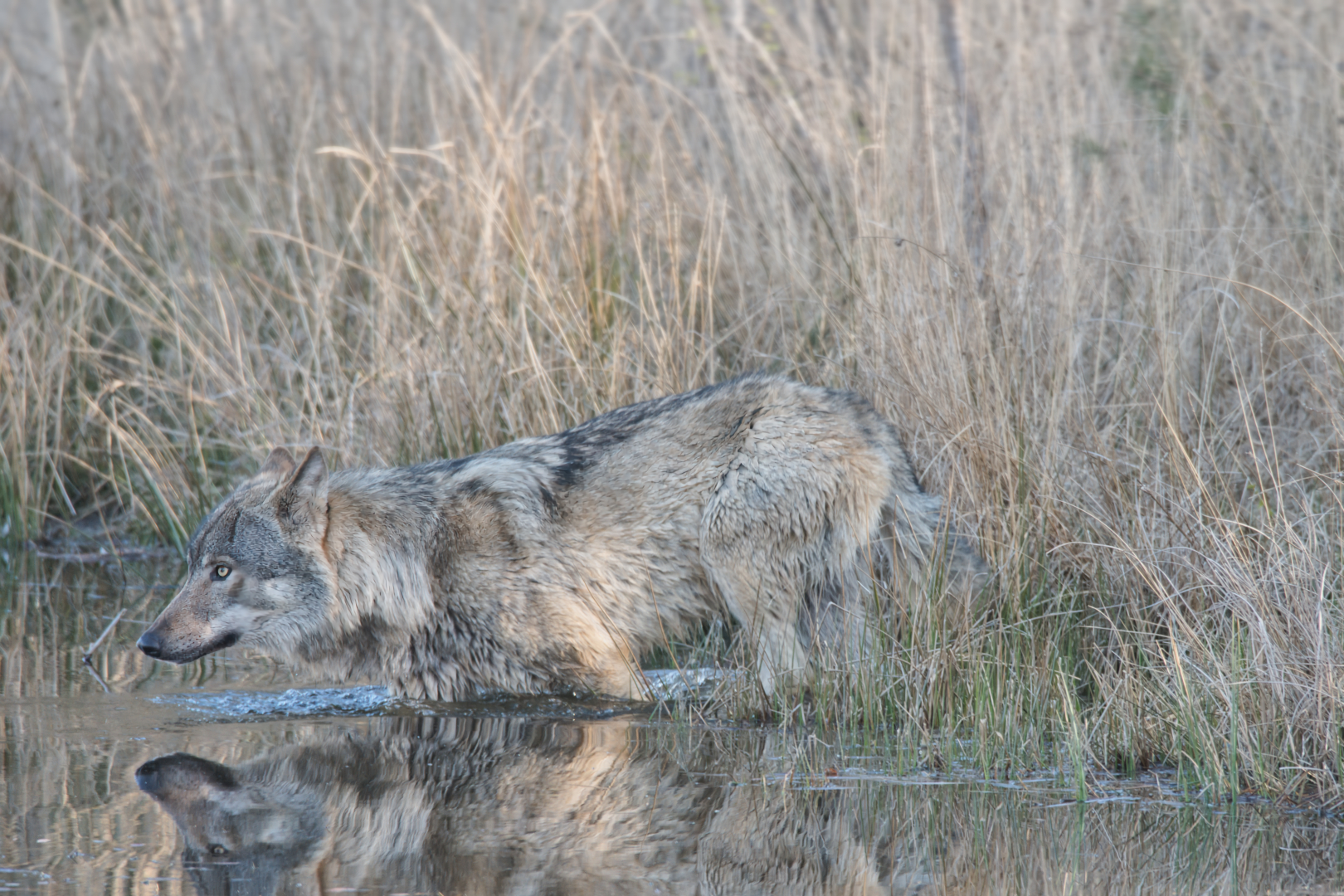 DSC_2587_1  plaatsing DdN 