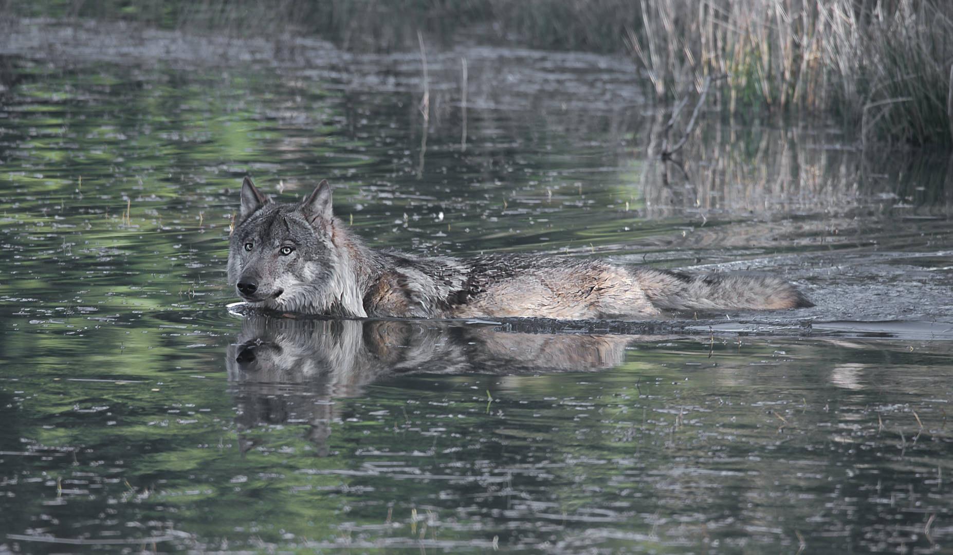 DSC_2599   DdN vervolg