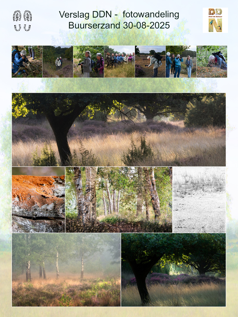 Spotlight verslag Buurserzand fotowandeling 2025(1)