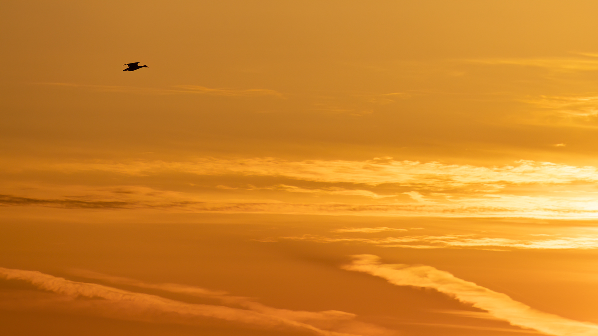 IMG_6850 corr v2 1080PX sRGB