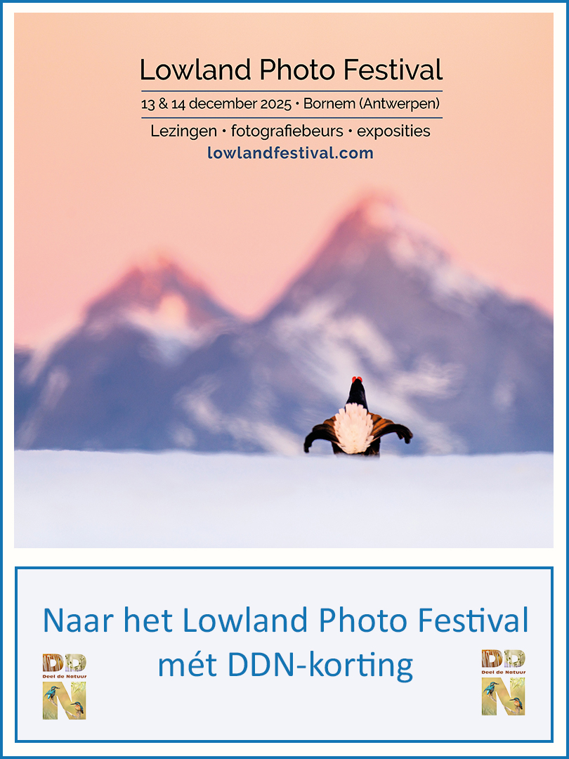 Lowland Photofestival - DDN met korting 2025