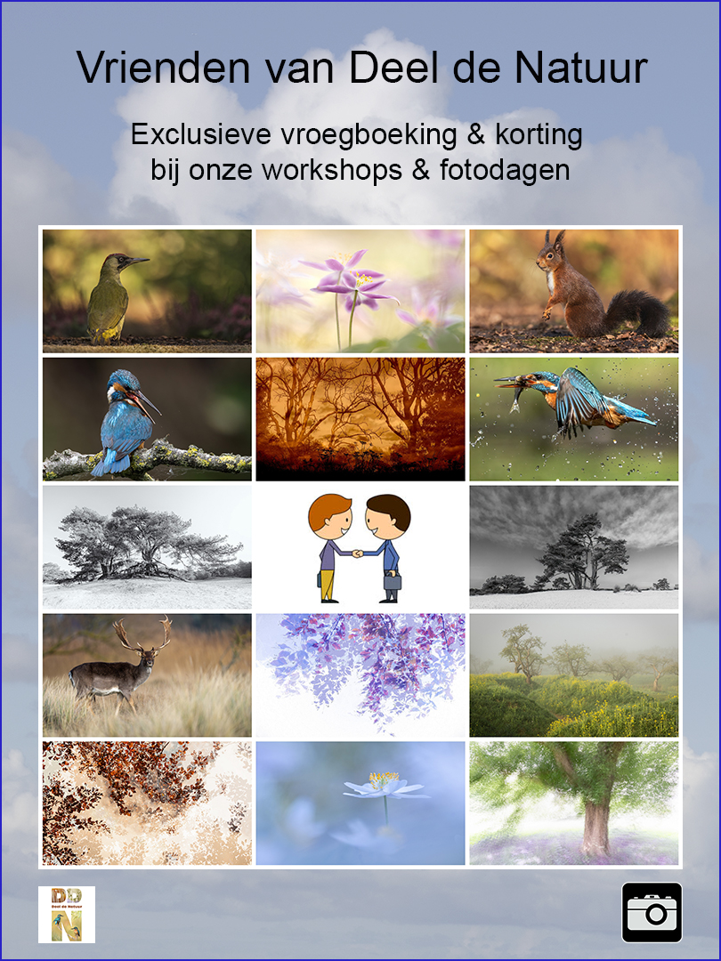 Promo Voorjaar en zomer  2026 exclusief voor VVDDN v1 sRGB