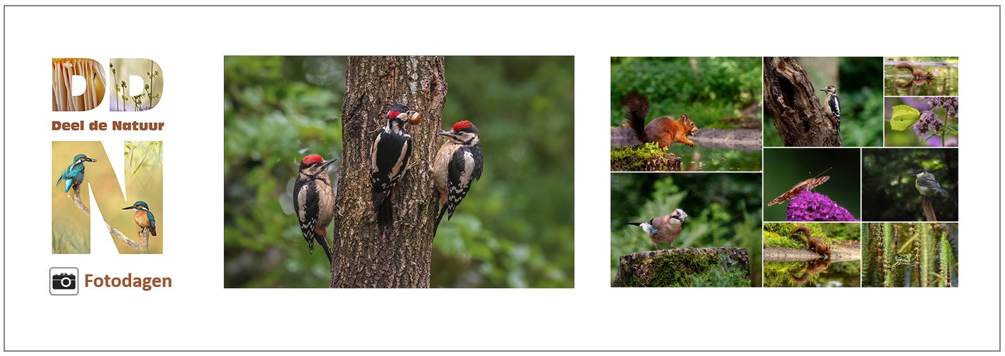 Fotodag Special Boerenglop