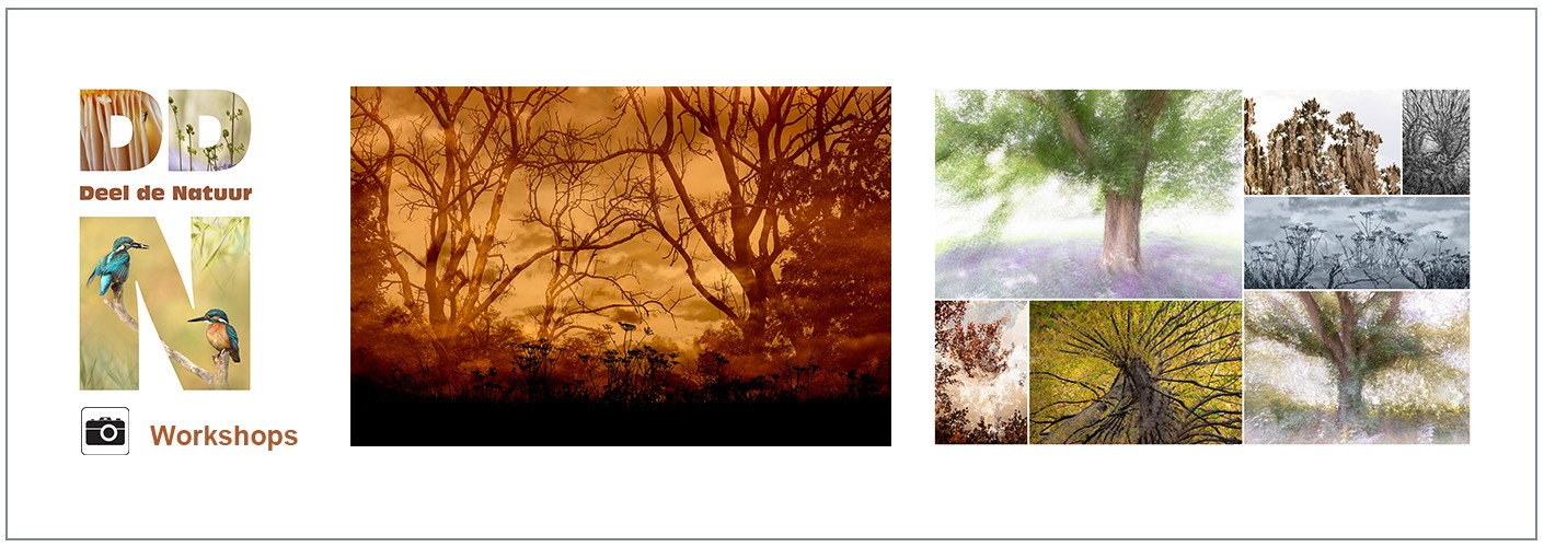 Workshop Create a new world