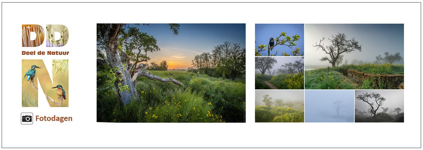 Fotodag  Werk aan de Groeneweg