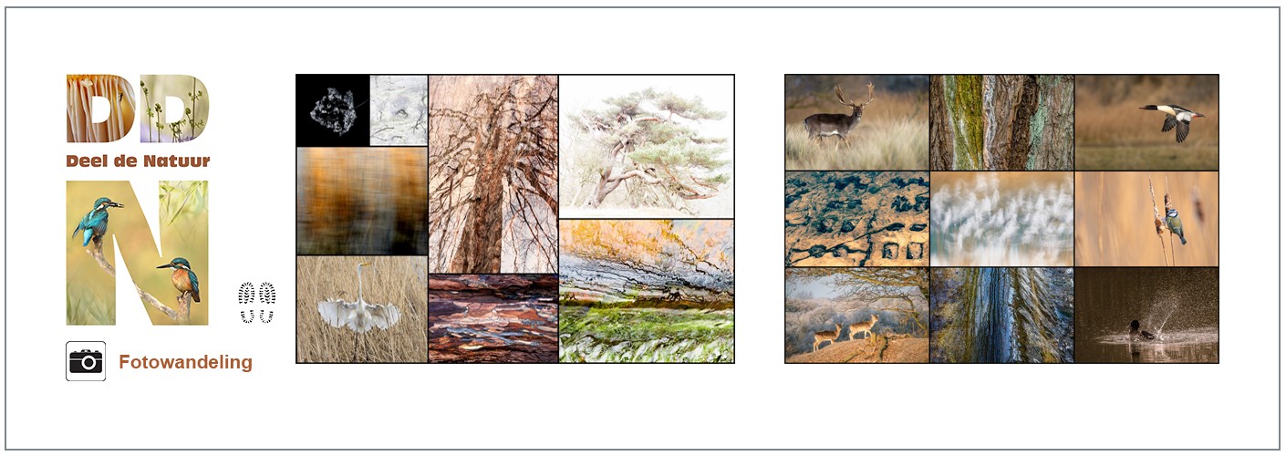 Fotowandeling Struinen door de AWD