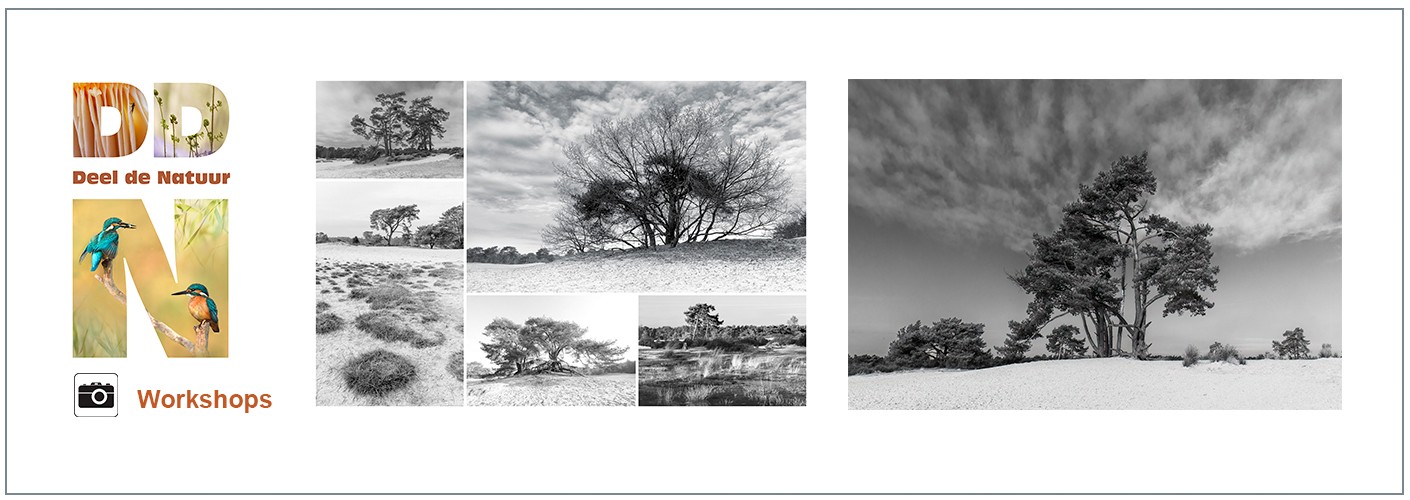 Workshop Back to black