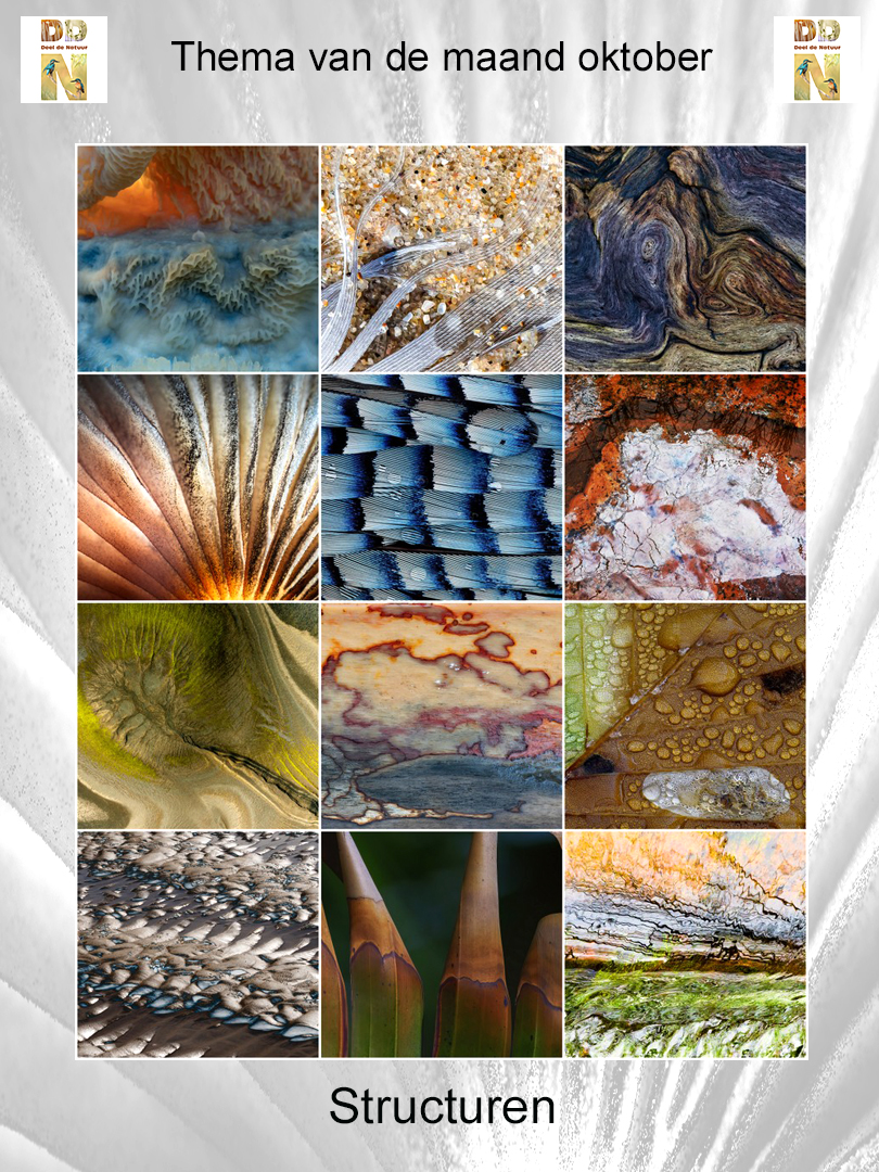 Spotlight -Structuren 2025 